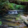 Small waterfall and bush stream at Bidjigal Reserve in Baulkham Hills, a peaceful walking trail in the Hills District near Norwest and Castle Hill.