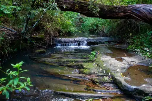 Bidjigal Reserve waterfall along a popular walking track in the Hills District. - Focus Health & Fitness Small waterfall and bush stream at Bidjigal Reserve in Baulkham Hills, a peaceful walking trail in the Hills District near Norwest and Castle Hill.