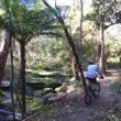 Cyclist riding along a bush trail at Bidjigal Reserve in the Hills District, near Norwest and Castle Hill, popular for family bike rides and outdoor fitness.
