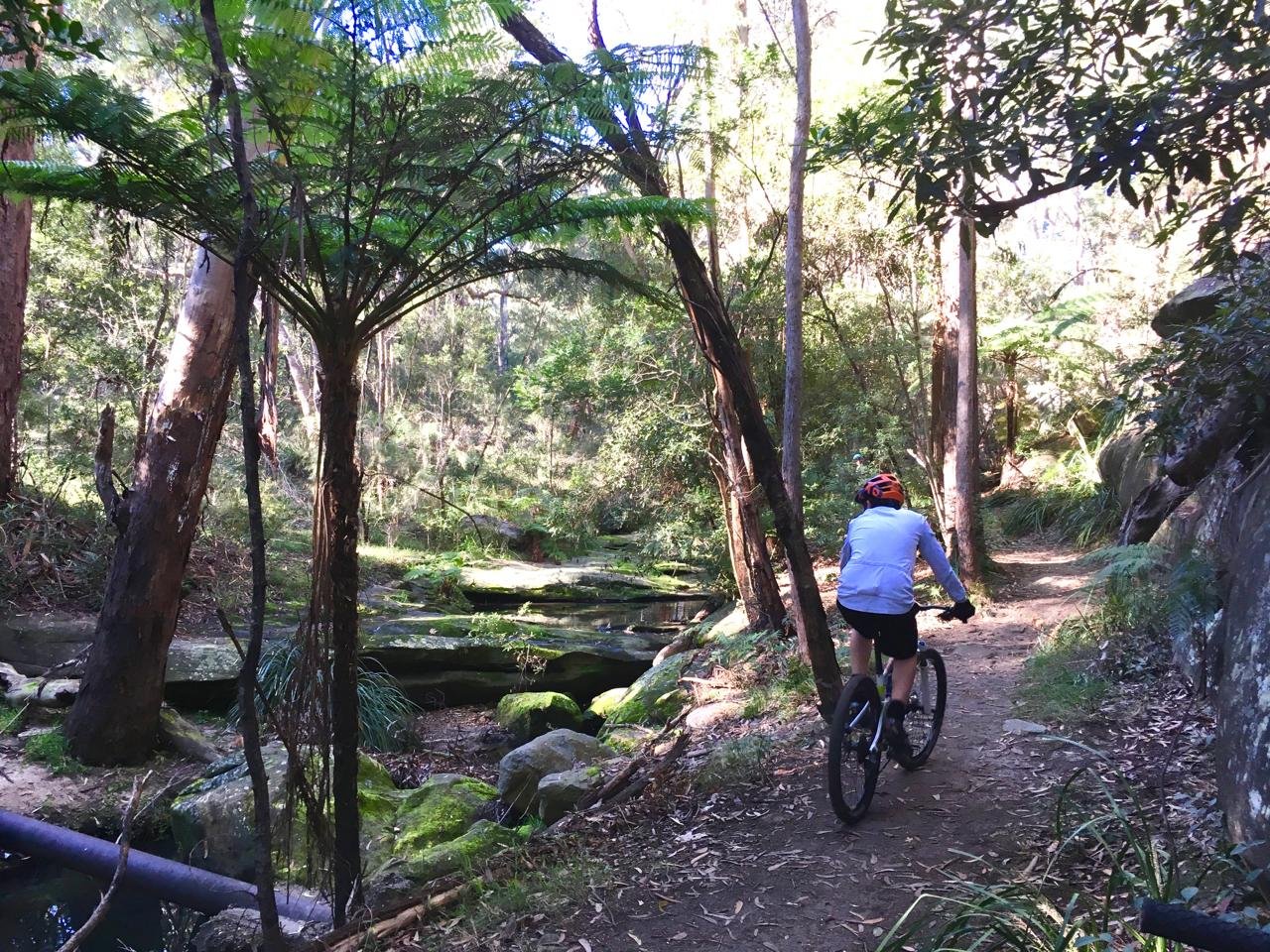 Cyclist riding along a bush trail at Bidjigal Reserve in the Hills District, near Norwest and Castle Hill, popular for family bike rides and outdoor fitness.