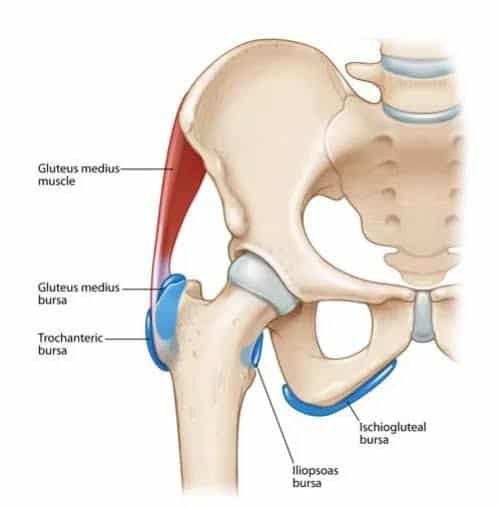 Adult Managing Hip Bursitis with Gluteal Strengthening Exercise at Private Norwest Hills District Studio